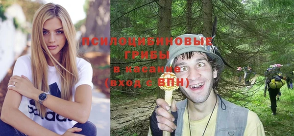 винт Арсеньев