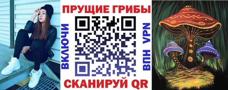 KRAKEN как войти Борзя Галлюциногенные грибы Psilocybine cubensis
